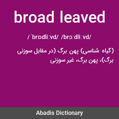 معنی broad leaved